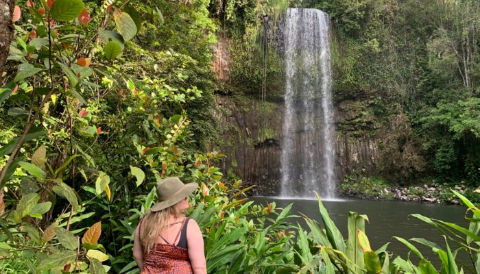 Best Things To Do In Cairns